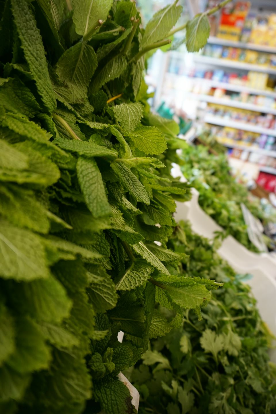 Frische Kräuter in großen Bunden